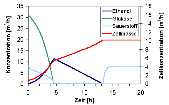 Simulationsergebnisse: Batchprozess des Hefezellwachstums in einem Fermenter